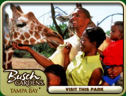 Busch Gardens - Tampa Bay